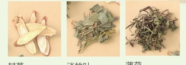 广东人喜欢的凉茶配方有哪些图4